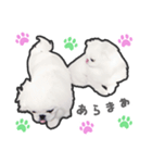 ペキニーズのハナマルヒナタロ（ヒナタロ）（個別スタンプ：36）