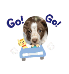 Code Talker君（個別スタンプ：10）