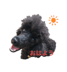 みっちゃん語（個別スタンプ：1）