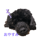 みっちゃん語（個別スタンプ：2）