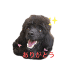 みっちゃん語（個別スタンプ：4）