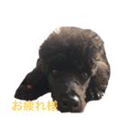 みっちゃん語（個別スタンプ：5）