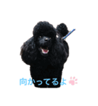みっちゃん語（個別スタンプ：7）