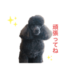 みっちゃん語（個別スタンプ：14）