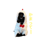 みっちゃん語（個別スタンプ：17）