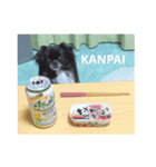 ブサカワ犬のスタンプ（個別スタンプ：8）