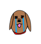 絵文字風♪わんこスタンプ（個別スタンプ：13）