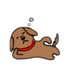絵文字風♪わんこスタンプ（個別スタンプ：20）