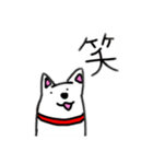 絵文字風♪わんこスタンプ（個別スタンプ：35）