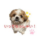 みくものスタンプ②（個別スタンプ：4）