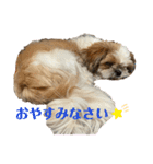 みくものスタンプ②（個別スタンプ：5）