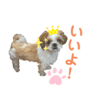 みくものスタンプ②（個別スタンプ：12）