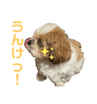 みくものスタンプ②（個別スタンプ：24）