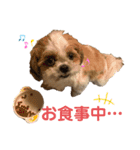 みくものスタンプ②（個別スタンプ：25）