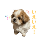 みくものスタンプ②（個別スタンプ：30）