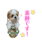 みくものスタンプ②（個別スタンプ：31）