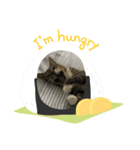 K＆U cats（個別スタンプ：2）