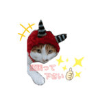 ごぼ天ちゃんすたんぷ①（個別スタンプ：7）
