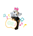 ごぼ天ちゃんすたんぷ①（個別スタンプ：13）