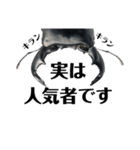 Beetle＆Stag beetle vol.1（個別スタンプ：6）
