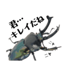 Beetle＆Stag beetle vol.1（個別スタンプ：7）