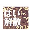 Beetle＆Stag beetle vol.1（個別スタンプ：16）