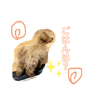 コロモ①（個別スタンプ：2）