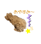 コロモ①（個別スタンプ：3）