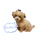 コロモ①（個別スタンプ：4）