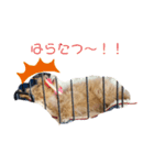 コロモ①（個別スタンプ：8）