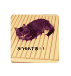 おしゃれネコの日常（個別スタンプ：8）