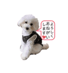 みるくのすたんぷ。（個別スタンプ：4）