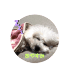 みるくのすたんぷ。（個別スタンプ：8）