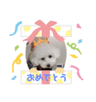みるくのすたんぷ。（個別スタンプ：12）