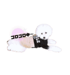 みるくのすたんぷ。（個別スタンプ：13）