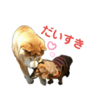 だいすき風ちゃん（個別スタンプ：1）