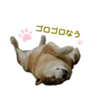 だいすき風ちゃん（個別スタンプ：7）