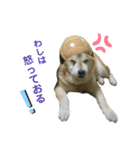 だいすき風ちゃん（個別スタンプ：8）