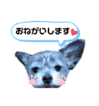 マイロの気持ち。3（個別スタンプ：16）