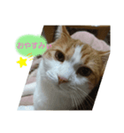 うめちゃ .3（個別スタンプ：2）
