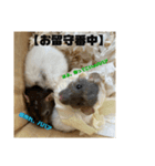 可愛げがないファンシーラット 第2弾（個別スタンプ：4）