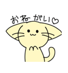 毎日が楽しいねこ（個別スタンプ：13）