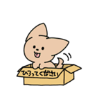 毎日が楽しいねこ（個別スタンプ：40）