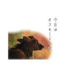 動物とあそぼう！（個別スタンプ：2）