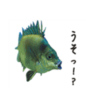 動物とあそぼう！（個別スタンプ：7）
