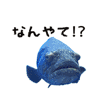 動物とあそぼう！（個別スタンプ：8）