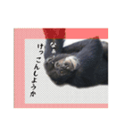 動物とあそぼう！（個別スタンプ：14）