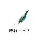 動物とあそぼう！（個別スタンプ：16）