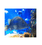 動物とあそぼう！（個別スタンプ：21）