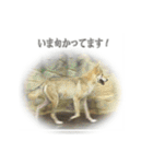 動物とあそぼう！（個別スタンプ：25）